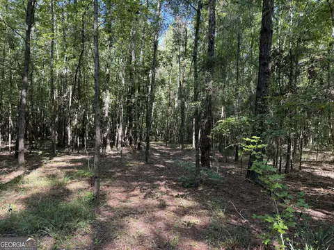 0 Pig Rd, Bartow, GA 30413 photo 11