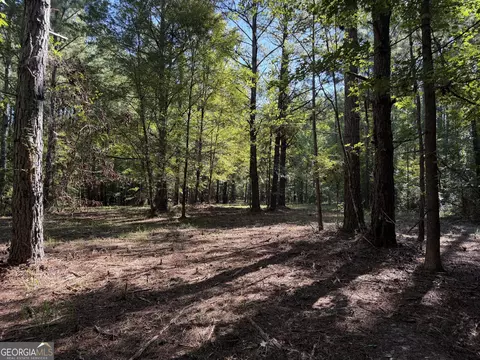 0 Pig Rd, Bartow, GA 30413 photo 10