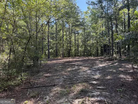 0 Pig Rd, Bartow, GA 30413 photo 31