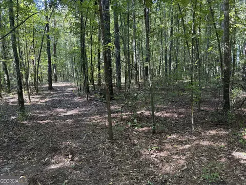 0 Pig Rd, Bartow, GA 30413 photo 26