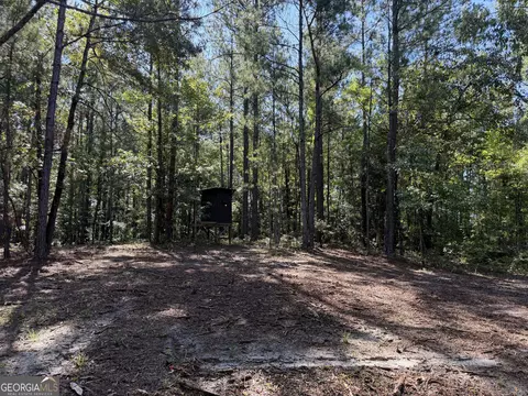 0 Pig Rd, Bartow, GA 30413 photo 34