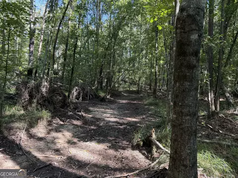 0 Pig Rd, Bartow, GA 30413 photo 19