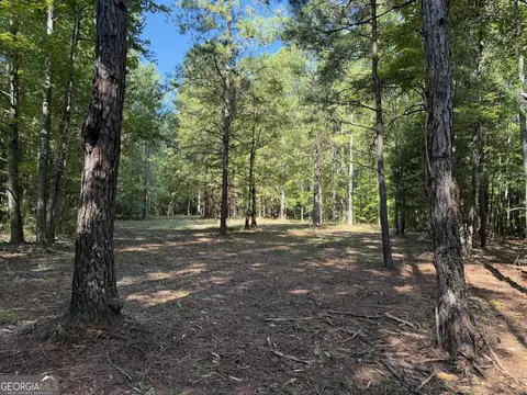 0 Pig Rd, Bartow, GA 30413 photo 8