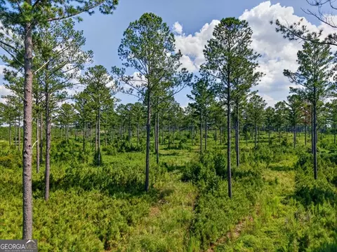 0 Hwy 30 #TRACT B, Buena Vista, GA 31803