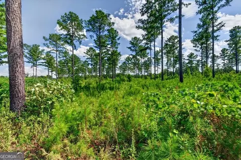 0 Hwy 30 #TRACT C, Buena Vista, GA 31803