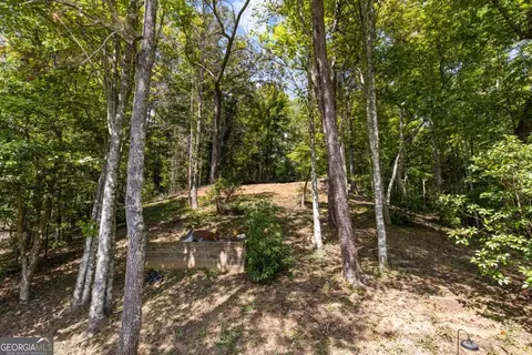 Lt 44&45 Overlook Drive, Cherry Log, GA 30522 photo 18