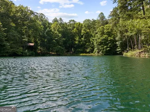 Lt 44&45 Overlook Drive, Cherry Log, GA 30522 photo 10