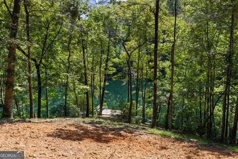 Lt 44&45 Overlook Drive, Cherry Log, GA 30522 photo 15