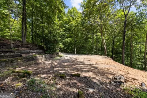 Lt 44&45 Overlook Drive, Cherry Log, GA 30522 photo 22