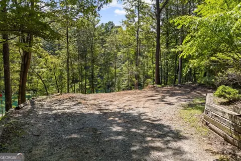 Lt 44&45 Overlook Drive, Cherry Log, GA 30522 photo 14