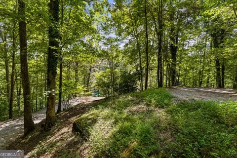 Lt 44&45 Overlook Drive, Cherry Log, GA 30522 photo 23