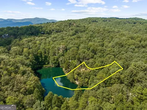Lt 44&45 Overlook Drive, Cherry Log, GA 30522 photo 12