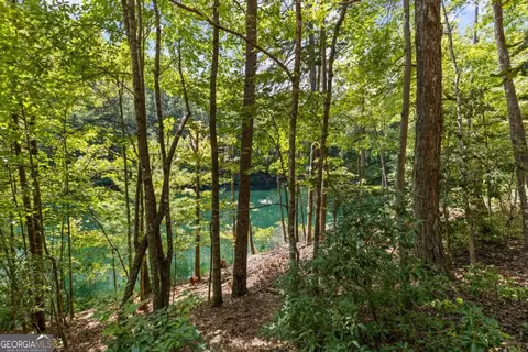Lt 44&45 Overlook Drive, Cherry Log, GA 30522 photo 19