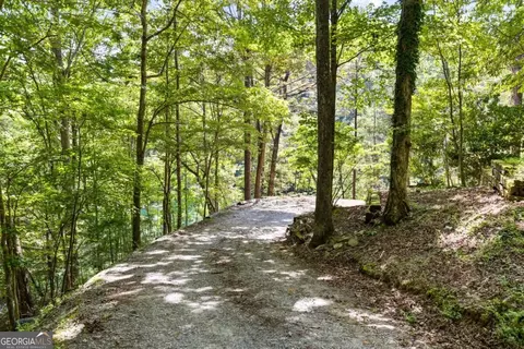 Lt 44&45 Overlook Drive, Cherry Log, GA 30522 photo 13