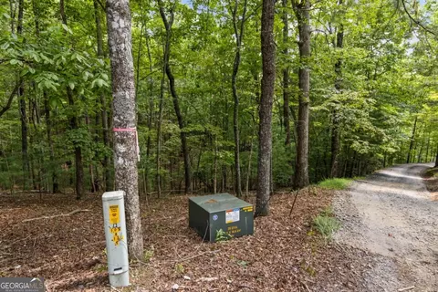 Lt 44&45 Overlook Drive, Cherry Log, GA 30522 photo 25