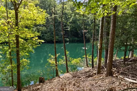Lt 44&45 Overlook Drive, Cherry Log, GA 30522 photo 21