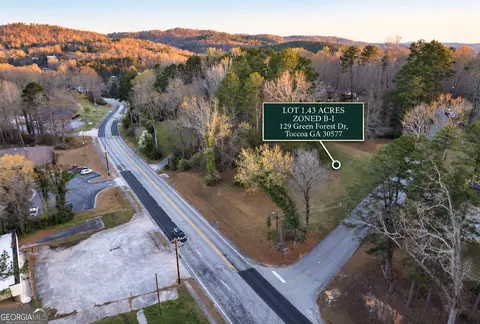 129 Green Forest Dr, Toccoa, GA 30577 photo 4