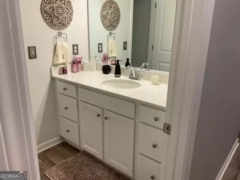 Bath - 137 Cabin Way, Hampton, GA 30228 photo 4 of 6