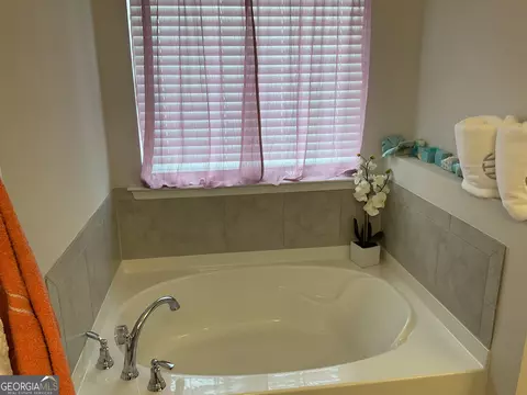 Bath - 137 Cabin Way, Hampton, GA 30228 photo 3 of 6