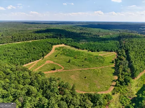 2150 Buena Vista Hwy, Mauk, GA 31058