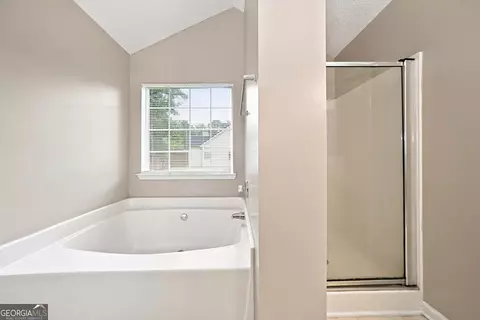 Bath - 125 River View Ct, Hampton, GA 30228 photo 2 of 4