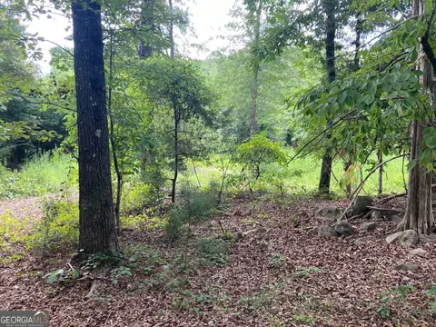 0 Stark Rd, Jackson, GA 30233 photo 4