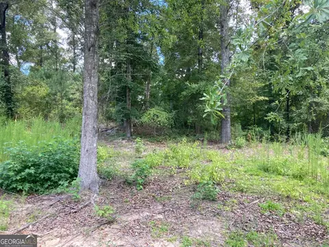 0 Stark Rd, Jackson, GA 30233 photo 5