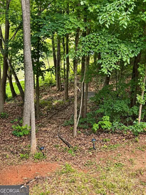 Exterior - 1 Pine Needle Trl, Martin, GA 30557 photo 10 of 10