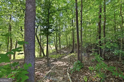 Exterior - 1 Pine Needle Trl, Martin, GA 30557 photo 5 of 10