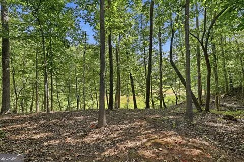 Exterior - 1 Pine Needle Trl, Martin, GA 30557 photo 7 of 10