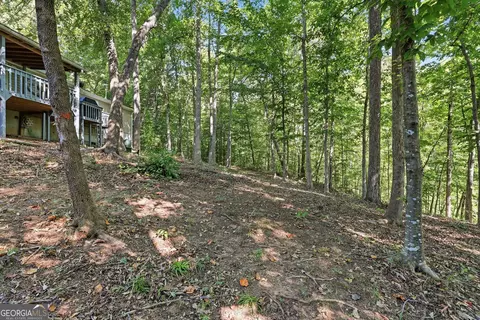 Exterior - 1 Pine Needle Trl, Martin, GA 30557 photo 6 of 10