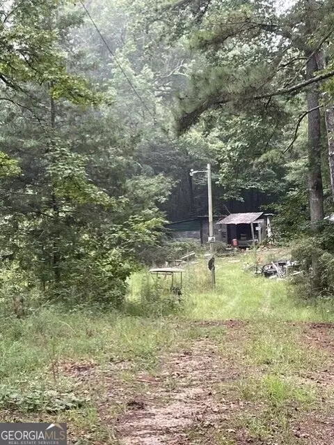 0 Young, Franklin, GA 30217 photo 3