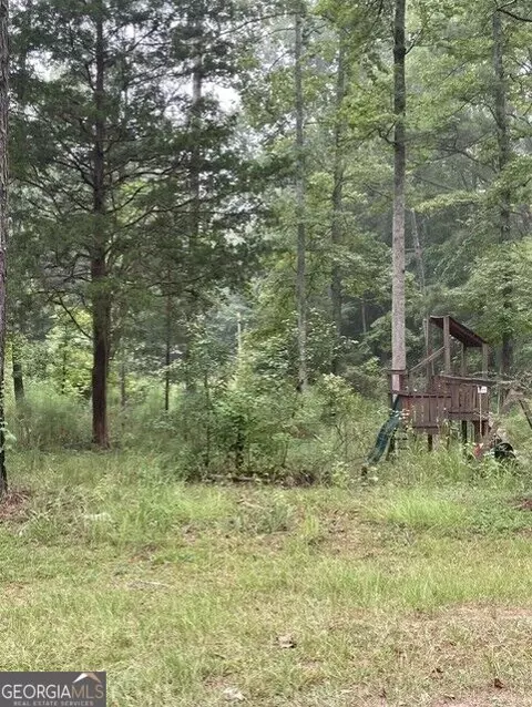 0 Young, Franklin, GA 30217 photo 2