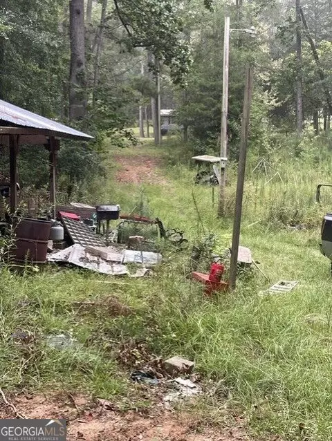 0 Young, Franklin, GA 30217 photo 5