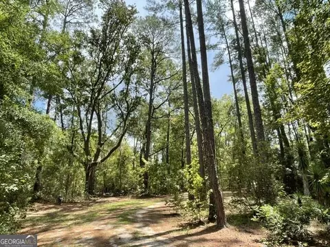 Other - 14155 Mud Rd, Brooklet, GA 30415 photo 13 of 14