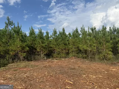 002 George Milling Rd, Cuthbert, GA 39840 photo 11