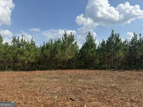 002 George Milling Rd, Cuthbert, GA 39840 photo 10