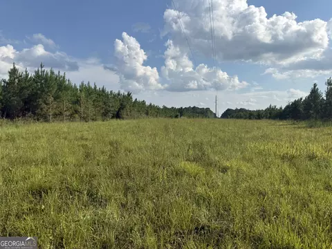002 George Milling Rd, Cuthbert, GA 39840 photo 15
