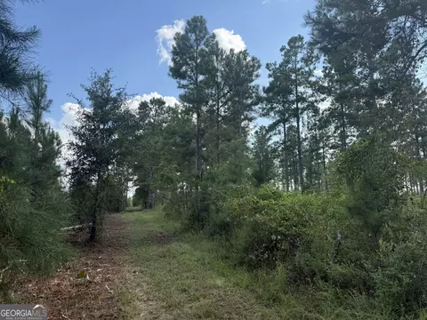002 George Milling Rd, Cuthbert, GA 39840 photo 4