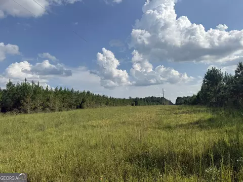 002 George Milling Rd, Cuthbert, GA 39840 photo 14