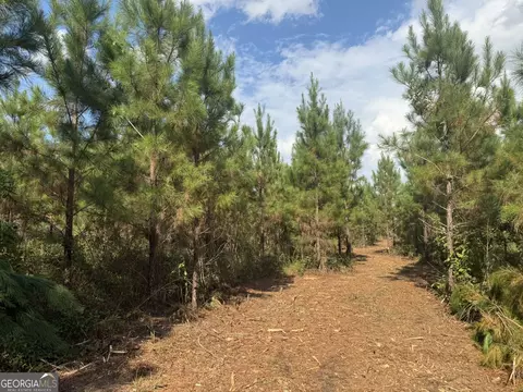 002 George Milling Rd, Cuthbert, GA 39840 photo 6
