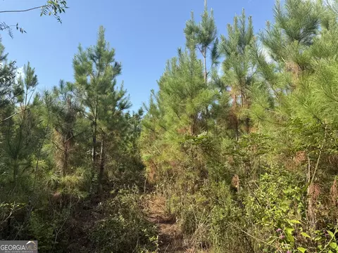 002 George Milling Rd, Cuthbert, GA 39840 photo 8