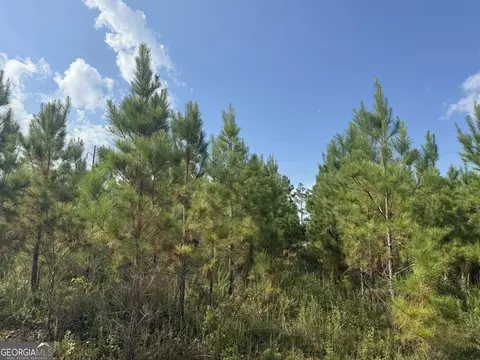 002 George Milling Rd, Cuthbert, GA 39840 photo 12