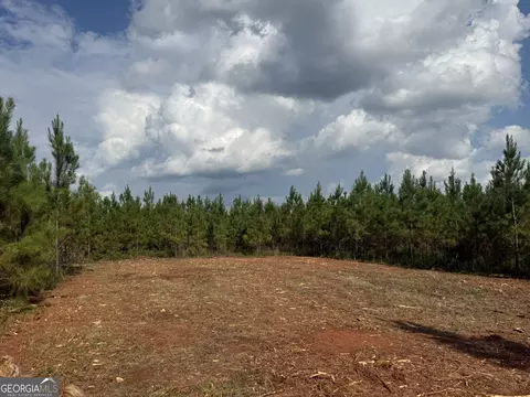 002 George Milling Rd, Cuthbert, GA 39840 photo 9