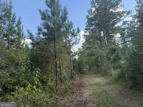 002 George Milling Rd, Cuthbert, GA 39840 photo 3