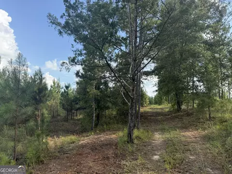 002 George Milling Rd, Cuthbert, GA 39840 photo 5