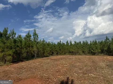 002 George Milling Rd, Cuthbert, GA 39840 photo 13