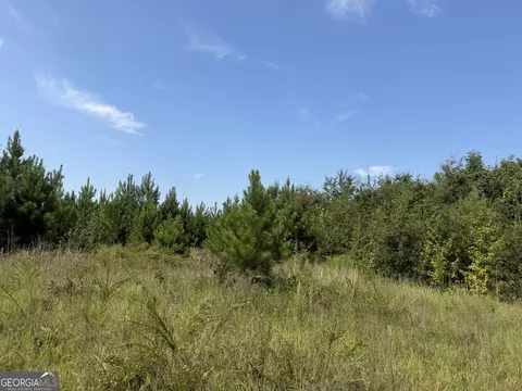 005 Long Branch Rd, Toomsboro, GA 31090
