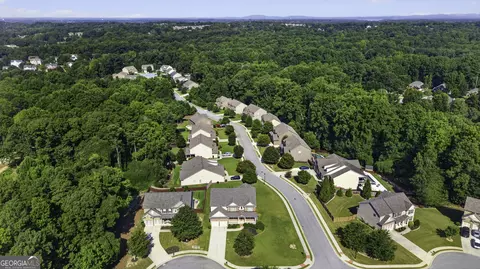 View/Area - 3952 Ivy Gate Dr, Buford, GA 30519 photo 4 of 4