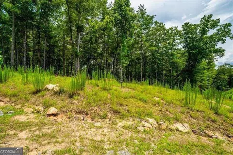 0 Ridge Dr, Morganton, GA 30560 photo 6